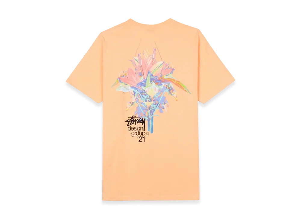 Stussy Design Group 21 Tee "Peach"