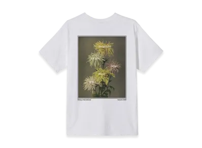 Stussy Dahlia Tee "White"