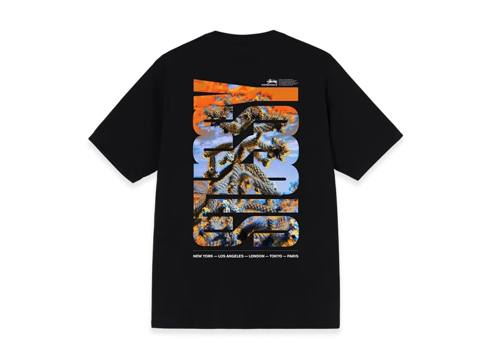 Stussy Desert Sky Tee "Black"