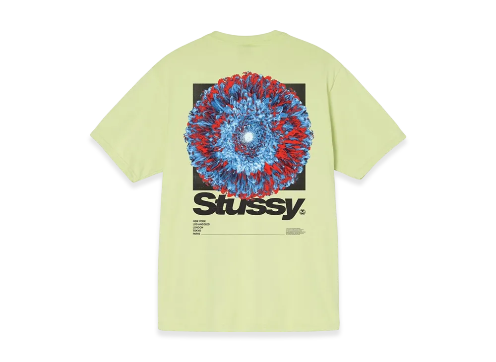 Stussy Young Organics Tee "Tea"