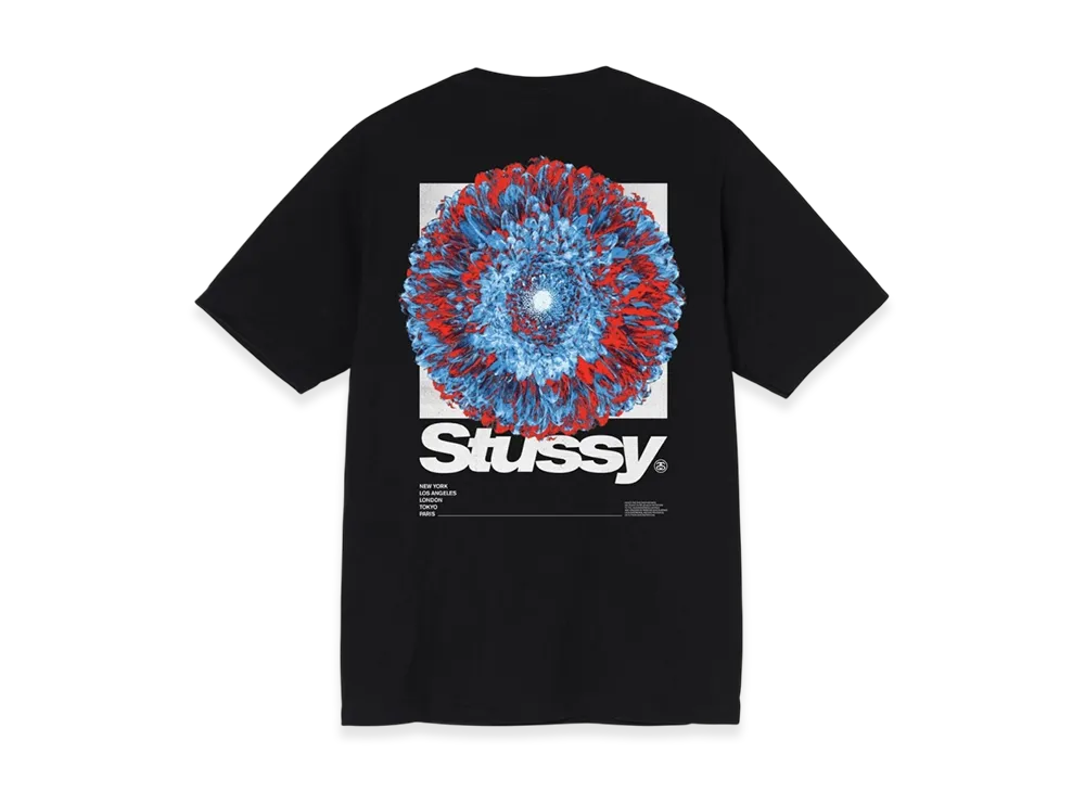 Stussy Young Organics Tee "Black"