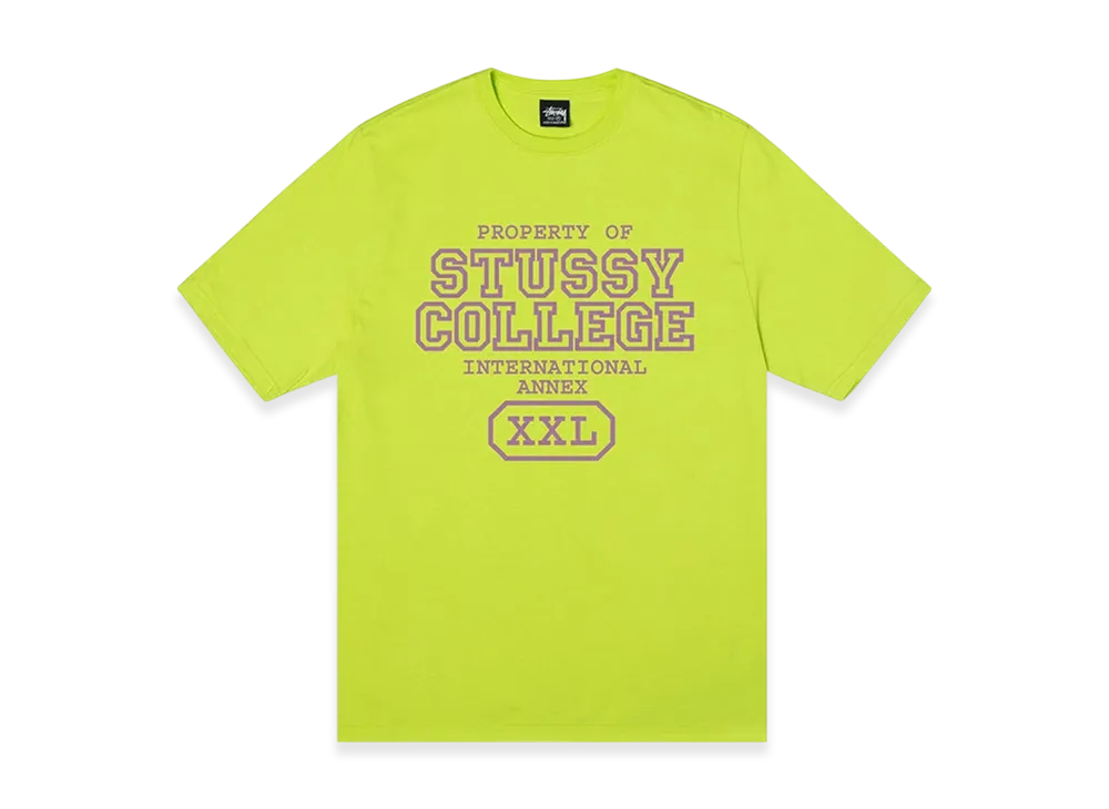 Stussy Property of Tee "Keylime"
