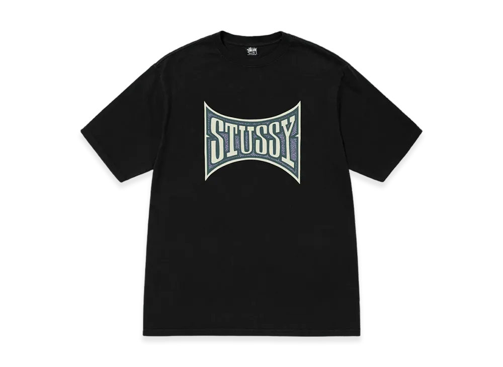 Stussy Champion Pigment Dyed Tee "Black"