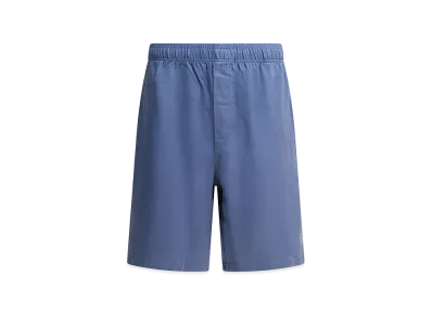 Stussy Shorts "Blue"