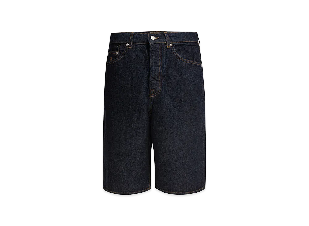 Stussy Shorts "Blue"