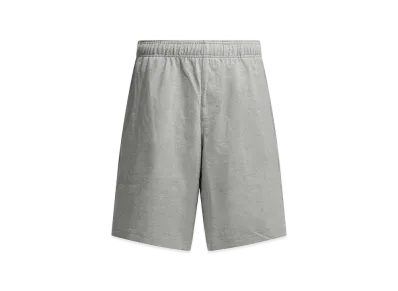 Stussy Shorts "Gray"