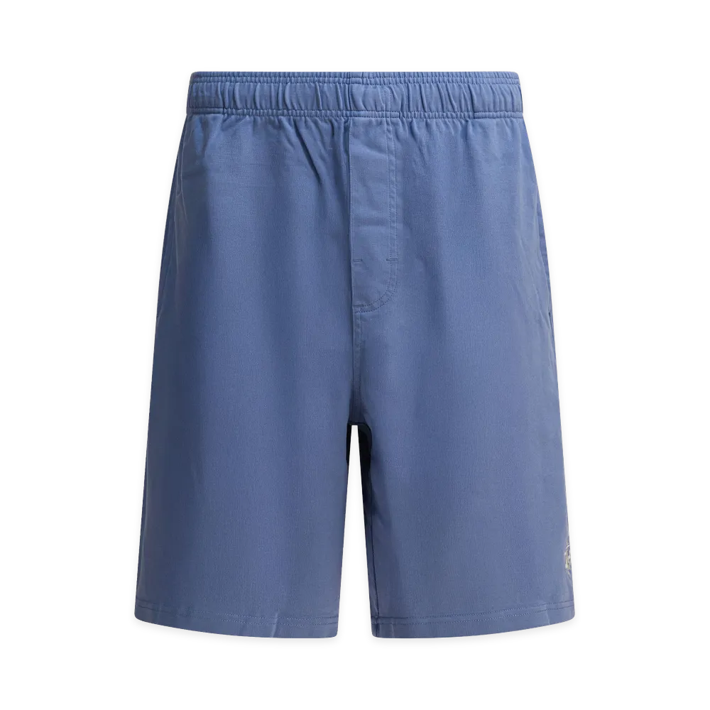 Stussy Shorts "Blue"
