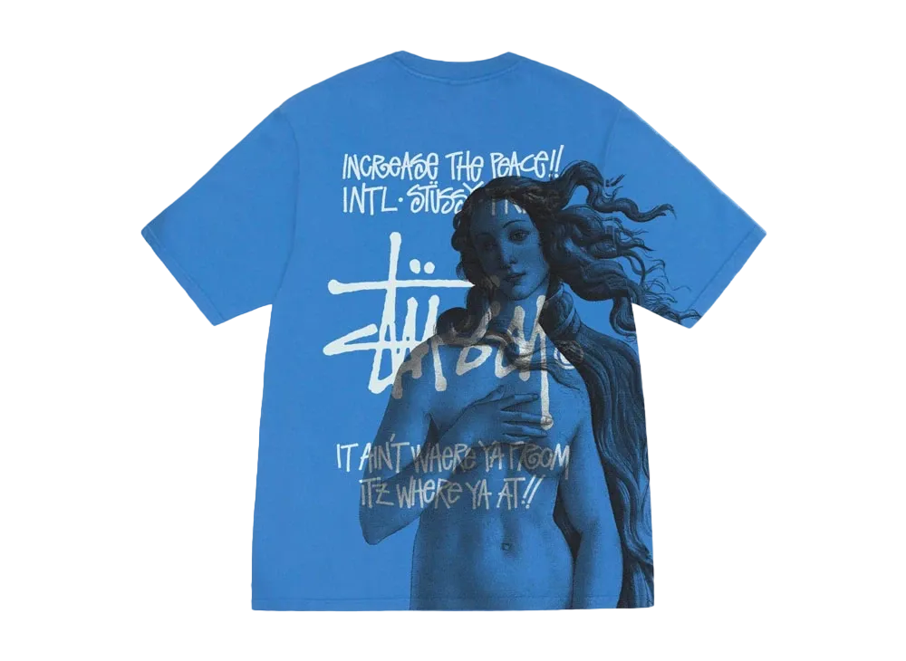 ステューシー IST ビーナス ピグメント ダイド Tシャツ "ブルー"