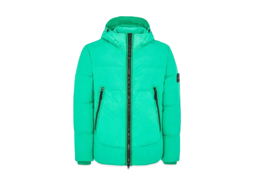 Stone Island 40123 GARMENT DYED CRINKLE REPS NY DOWN-TC "Green"