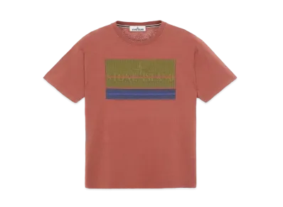 Stone Island 2NS90 COTTON JERSEY, 'LENTICULAR THREE' PRINT_SLIM FIT "Brick Red"