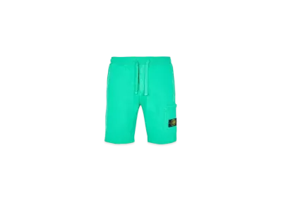 Stone Island 64620 BRUSHED COTTON FLEECE_REGULAR FIT "Green"