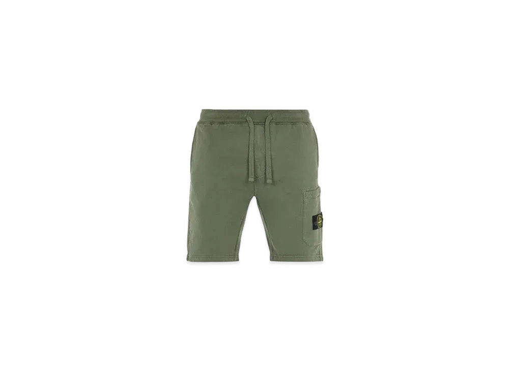 Stone Island 64620 BRUSHED COTTON FLEECE_REGULAR FIT "Sage Green"