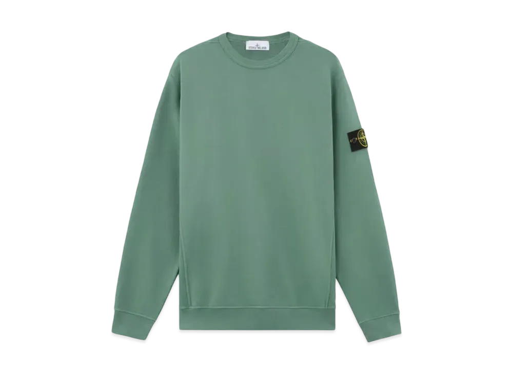 Stone Island 62420 Brushed Organic Cotton Fleece "Sage Green"