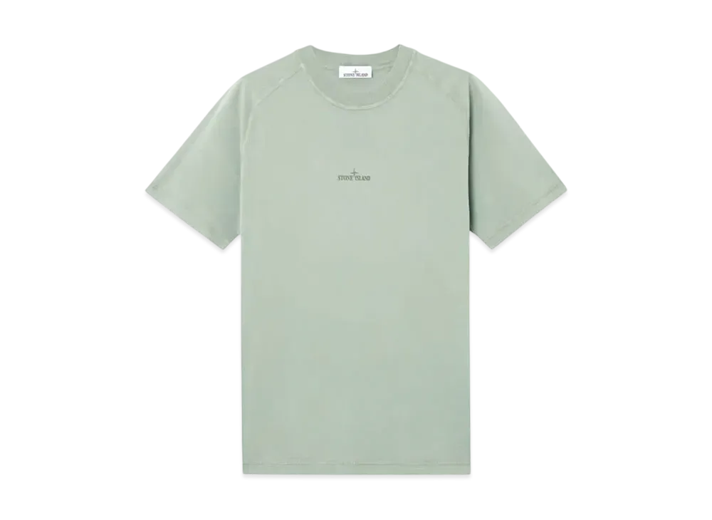 Stone Island 2100020 Organic Cotton Jersey "Sage Green"
