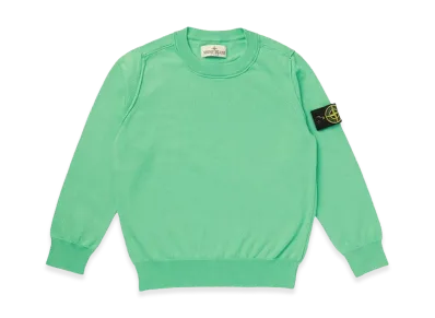 Stone Island Crewneck "Green"