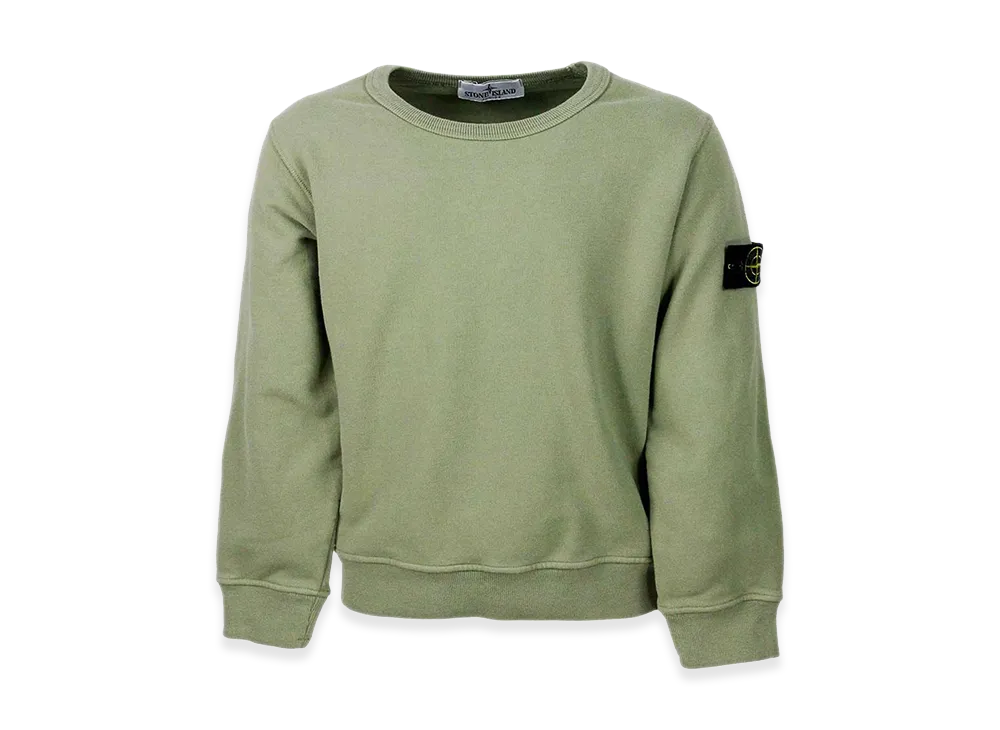 Stone Island Cotton Sweatshirt "Green"