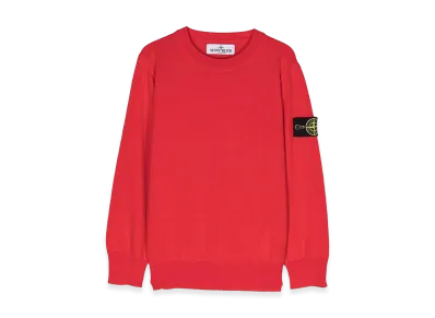 Stone Island Crewneck "Gray"