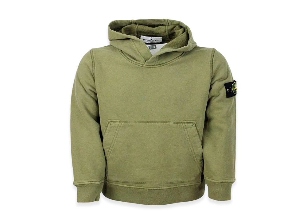 Stone Island Hoodie "Green"