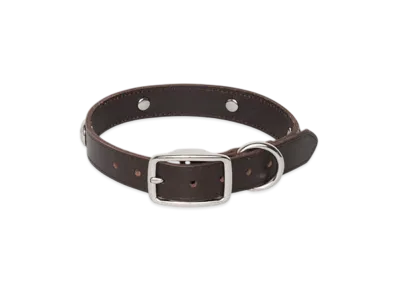 Stussy Studded Dog Collar "Brown"