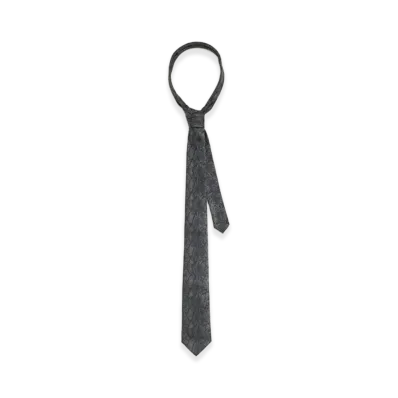 Stussy Silk Python Tie "Black"
