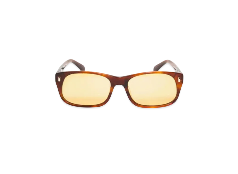 Stussy Michael Sunglasses "Tortoise/Brown Lens"
