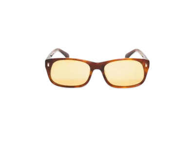 Stussy Michael Sunglasses "Tortoise/Brown Lens"