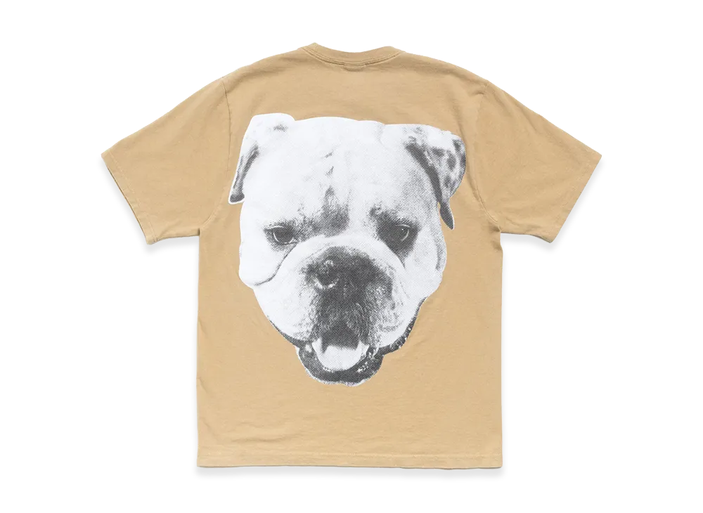 Stussy Big Dog Stone Washed Tee "Khaki"