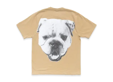 Stussy Big Dog Stone Washed Tee "Khaki"