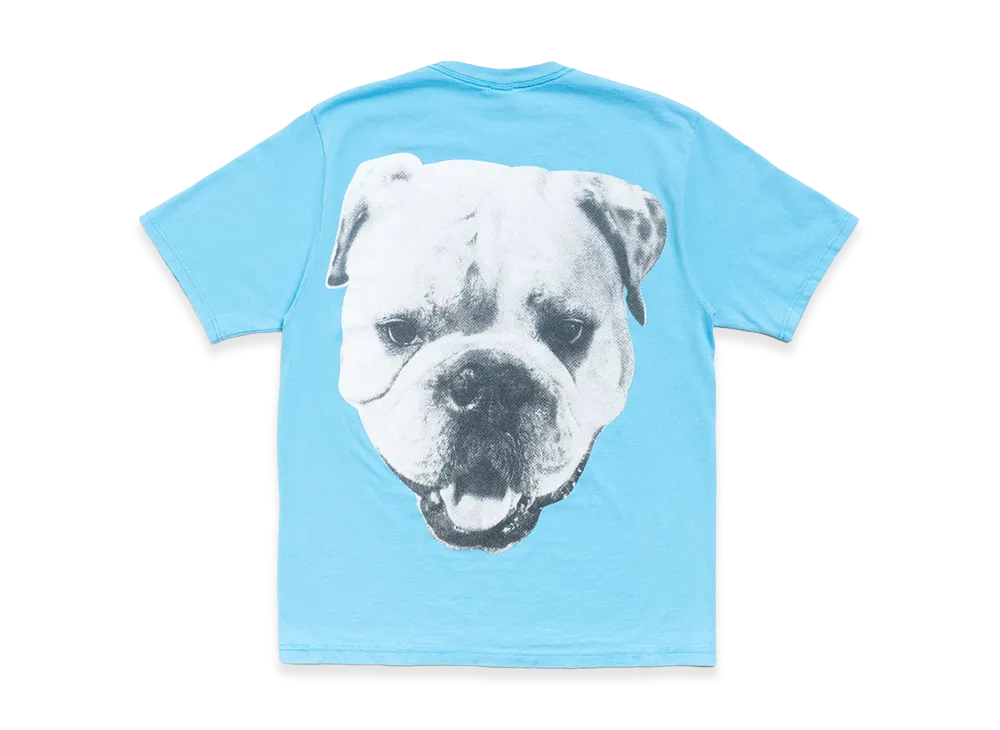 Stussy Big Dog Stone Washed Tee "Sky Blue"