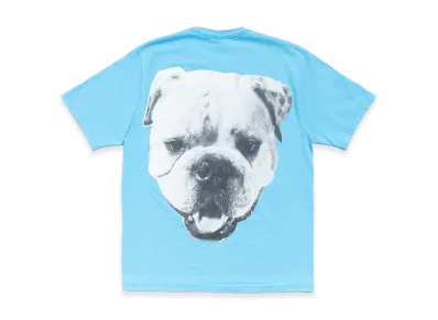 Stussy Big Dog Stone Washed Tee "Sky Blue"