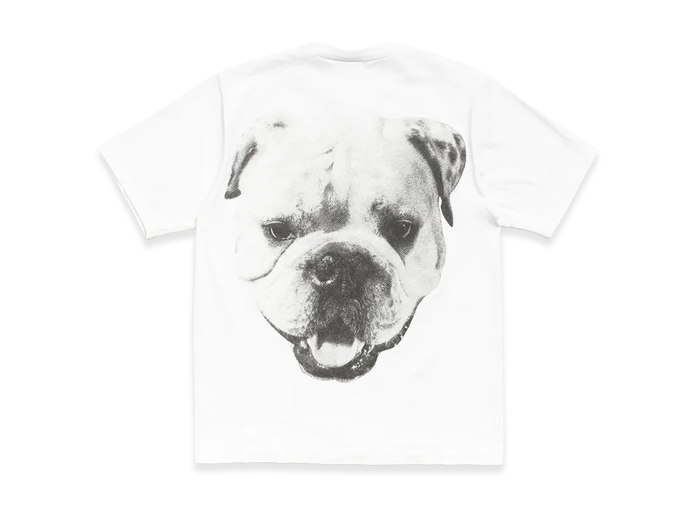 Stussy Big Dog Stone Washed Tee "White"