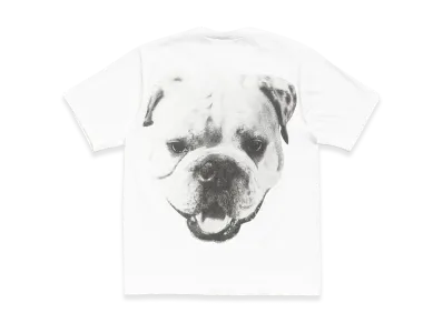 Stussy Big Dog Stone Washed Tee "White"