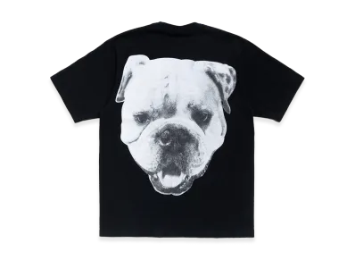 Stussy Big Dog Stone Washed Tee "Black"