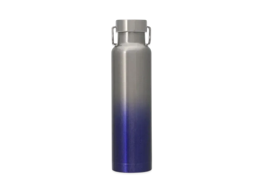 STARBUCKS Holidays 2024 Handle Lid Stainless Steel Bottle Gradient 680ml "Blue/Sirver"