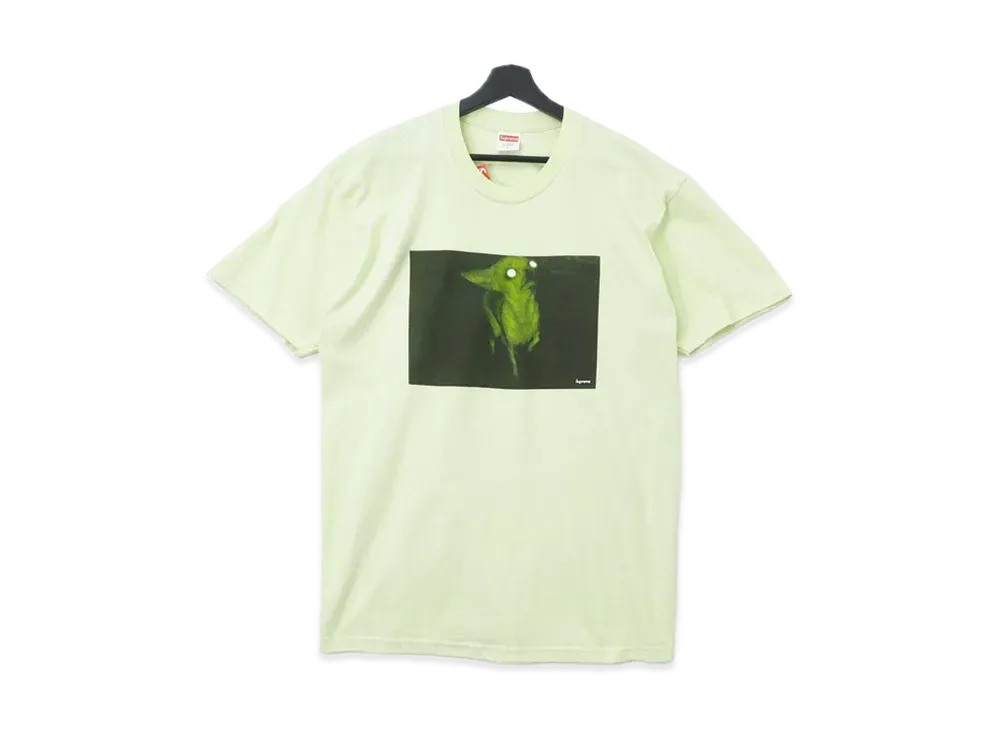 Supreme / Chris Cunningham Chihuahua Tee "Pale Mint"