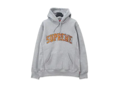 Supreme Water Arc Hooded Sweatshirt "Grey"