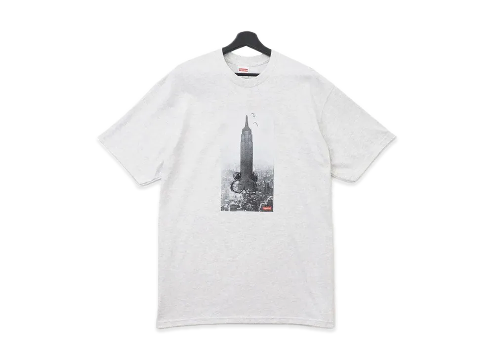 シュプリーム マイク ケリー エンパイア ステート Tシャツ "グレー"