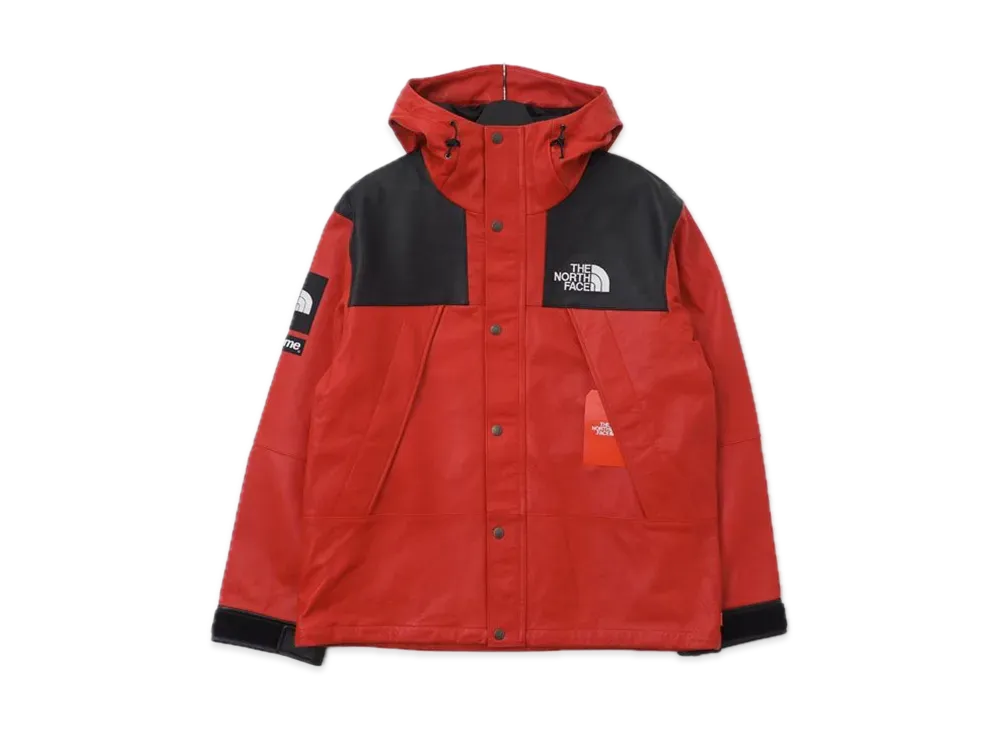 Supreme x The North Face Leather Mountain Parka "Red"