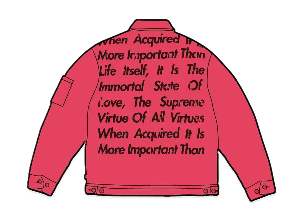 Supreme JUNYA WATANABE COMME des GARCONS MAN Printed Work Jacket