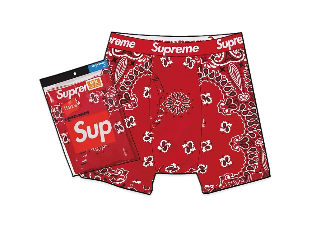 Supreme x Hanes Bandana Boxer Briefs (2 Pack) 