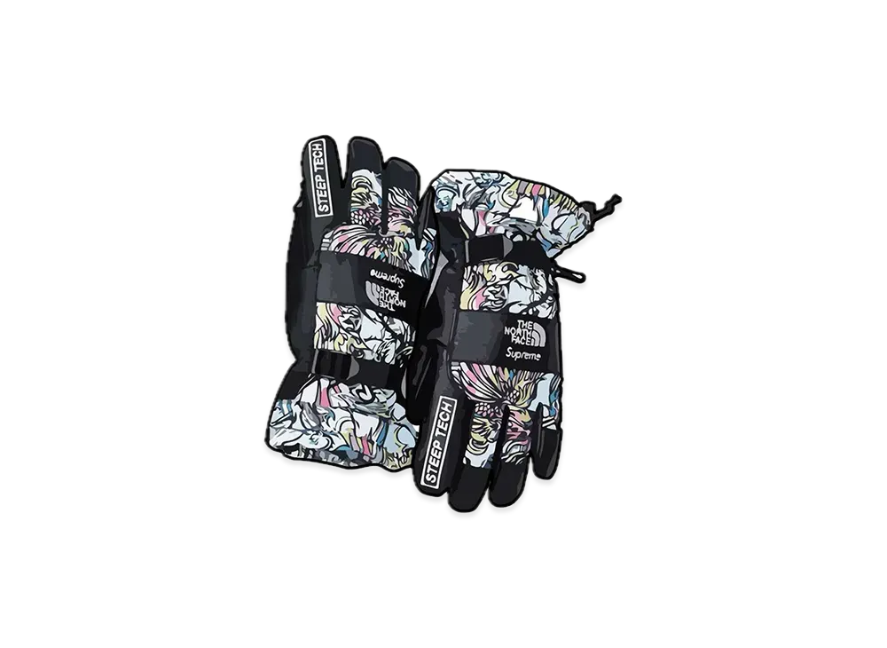 Supreme x The North Face Steep Tech Gloves "Multicolor Dragon"
