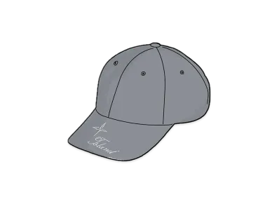 Supreme / Stone Island Denim 6-Panel "Reflective"