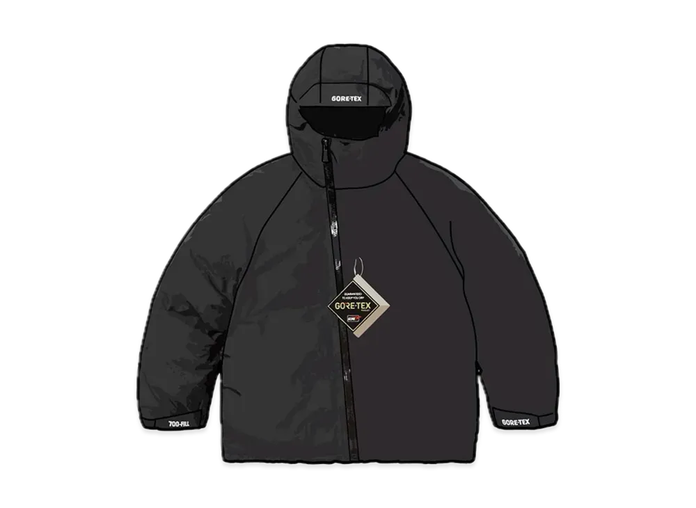 Supreme Gore-Tex 700-Fill Down Parka "Black"