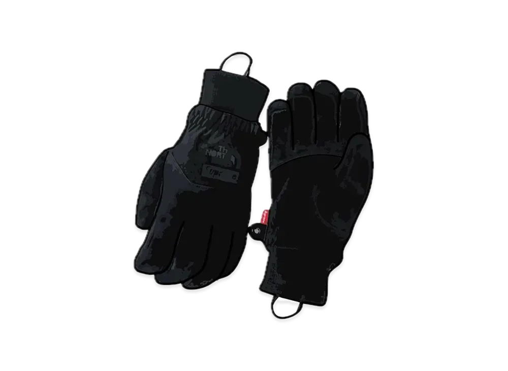 Supreme x The North Face Suede Glove "Black"