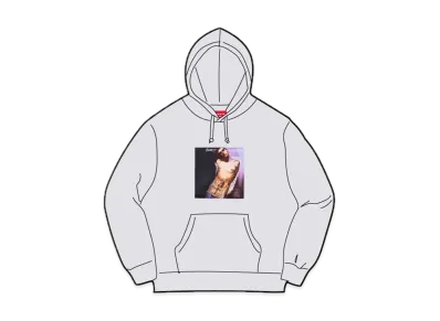 Supreme x Jane's Addiction Hooded Sweatshirt "Ash Grey"