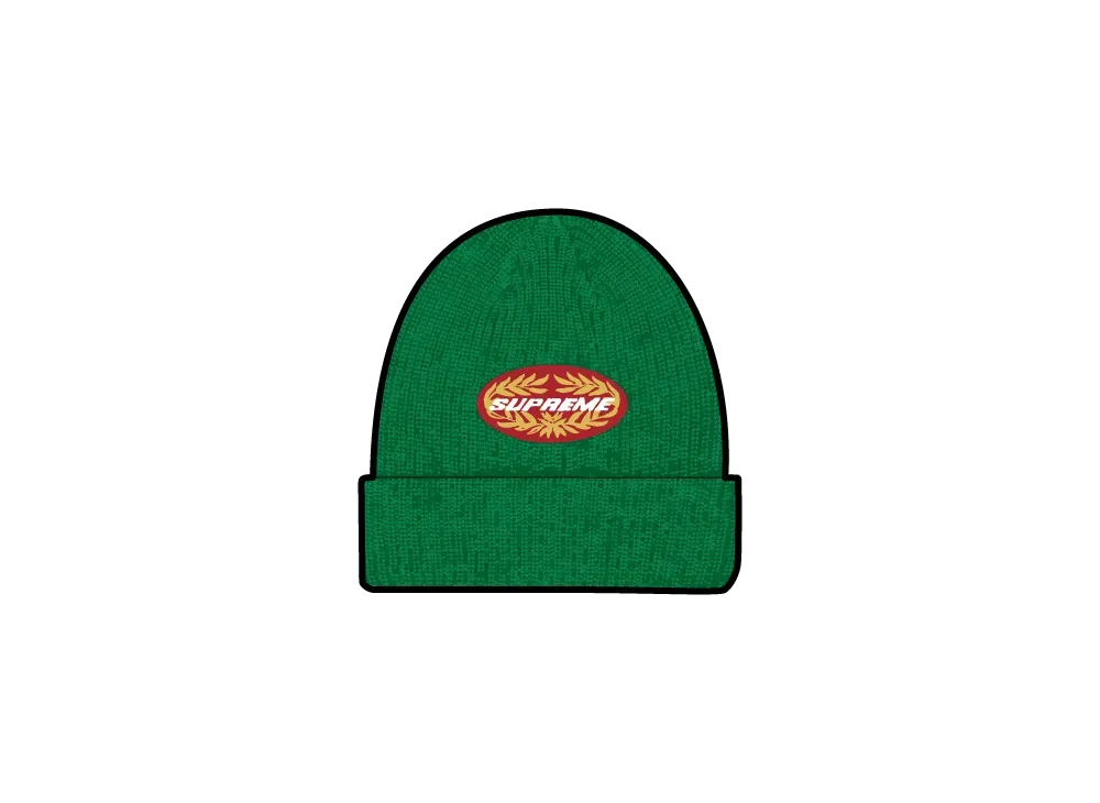 Supreme Terminal Beanie "Green"