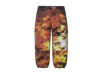 Supreme x Wu-Tang GORE-TEX Cargo Pant "Multi"