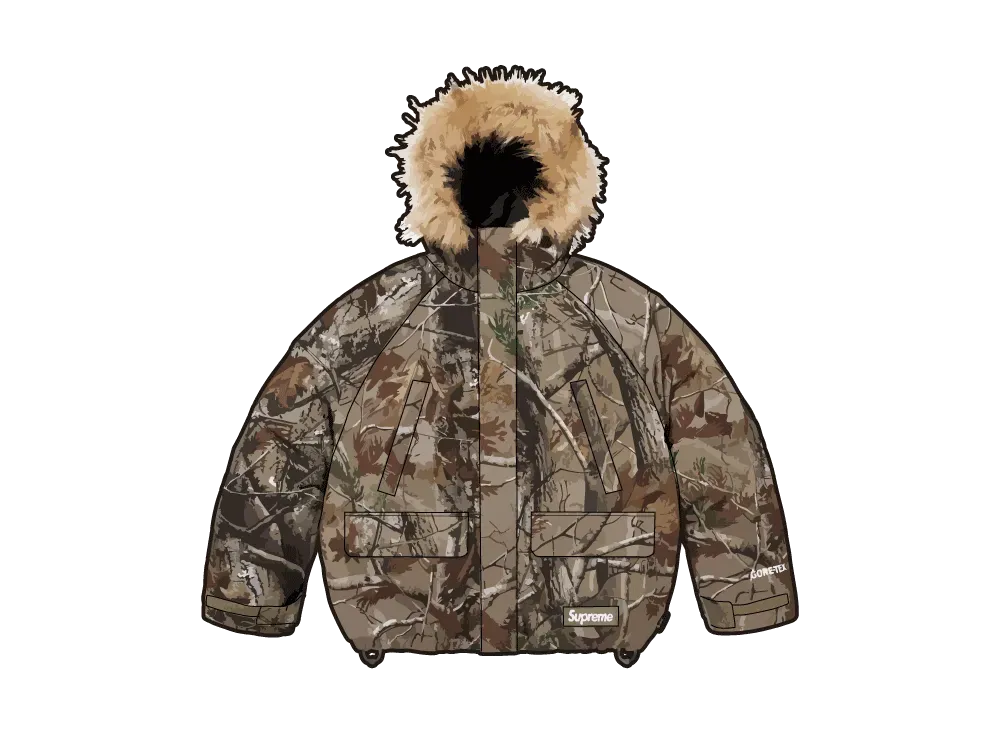 Supreme 2-in-1 GORE-TEX Parka + Reversible 700-Fill Down Liner  