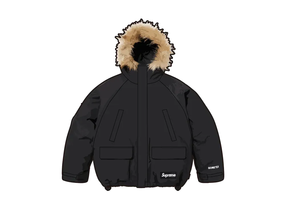 シュプリーム 2-in-1 ゴアテックス パーカー + リバーシブル 700 フィルダウン ライナー ジャケット &quot;ブラック&quot;
