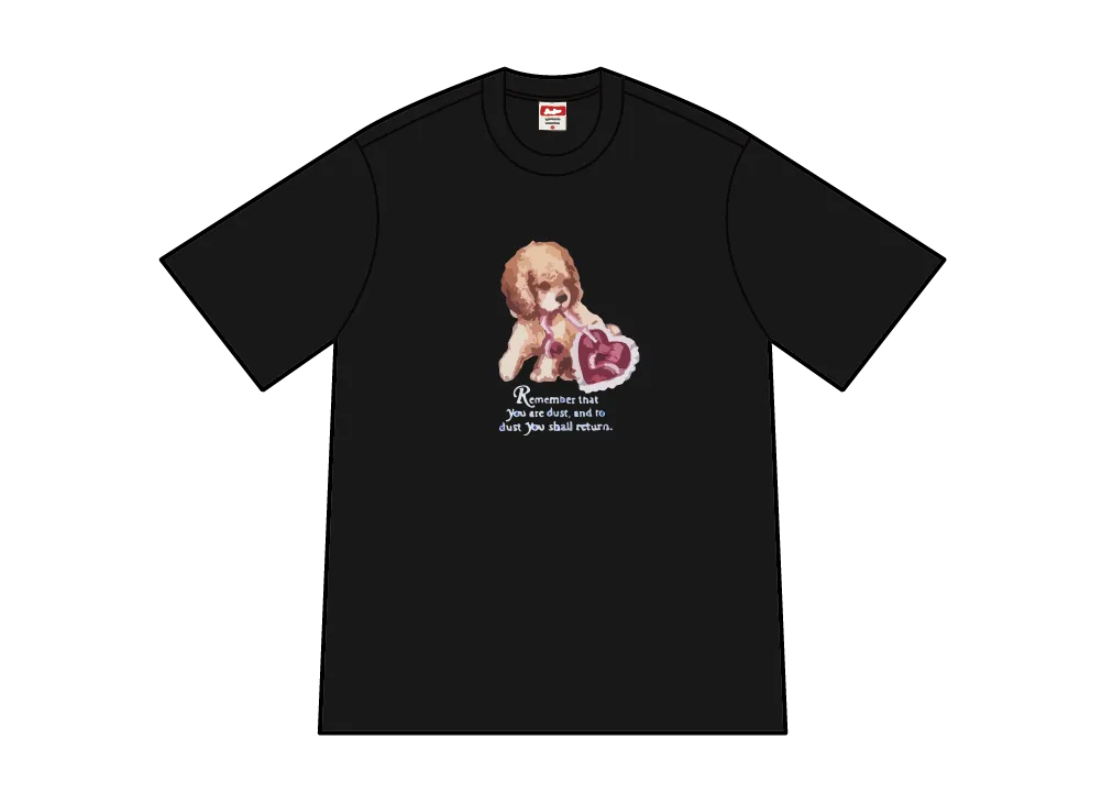 シュプリーム ダスト Tシャツ "ブラック"